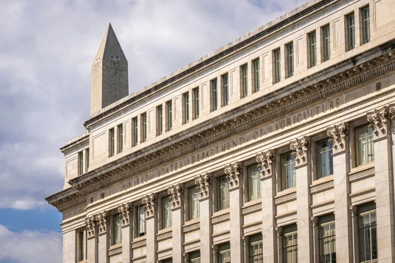 Brain Drain at the IRS: How Big Accounting Firms Hollowed Out America's Tax Enforcement Agency